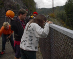 The Bridge with railings